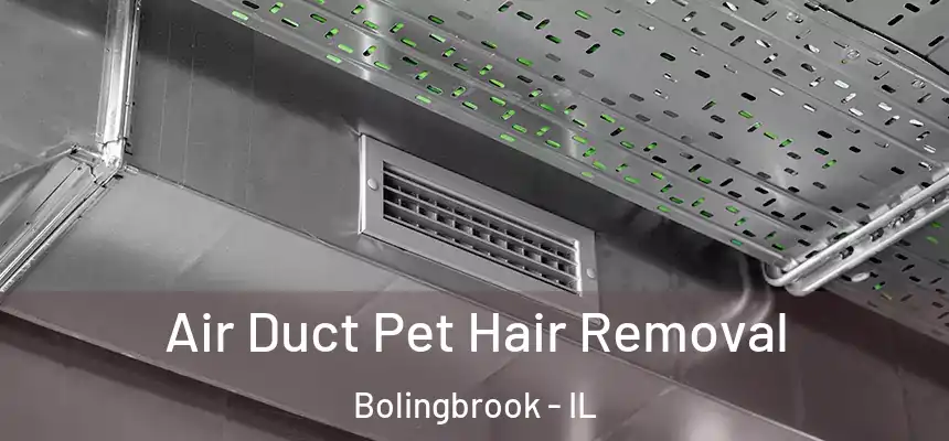 Air Duct Pet Hair Removal Bolingbrook - IL