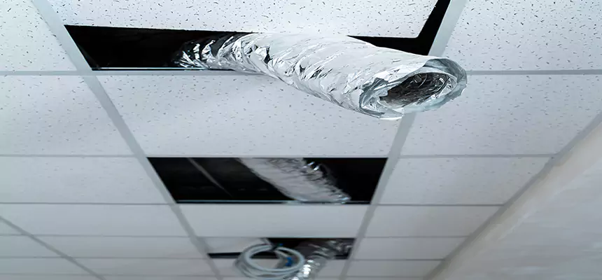 Affordable HVAC Sanitizing After Pest Removal in Bolingbrook