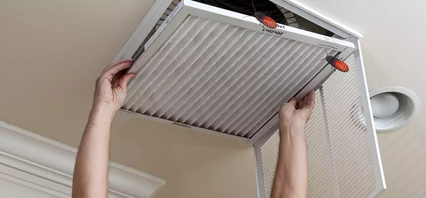 Our Insect Removal from Air Ducts Services in Bolingbrook, IL