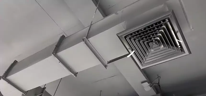 Our Pest Removal From Ducts Services in Bolingbrook, IL