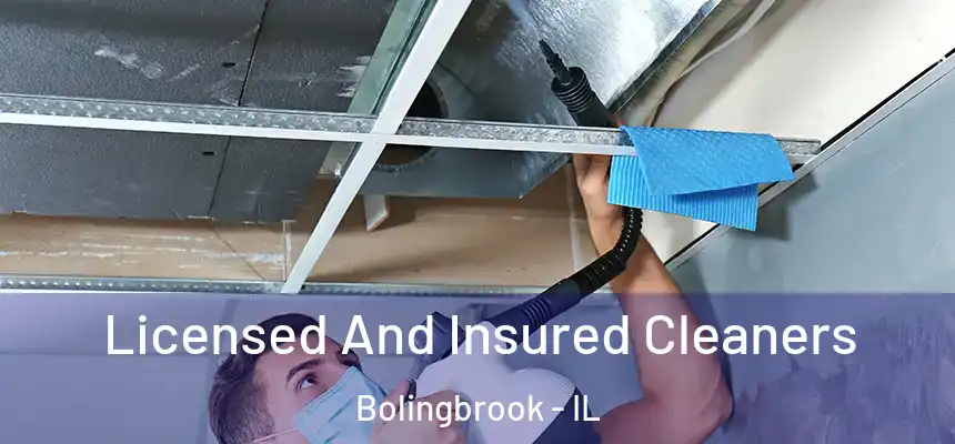 Licensed And Insured Cleaners Bolingbrook - IL