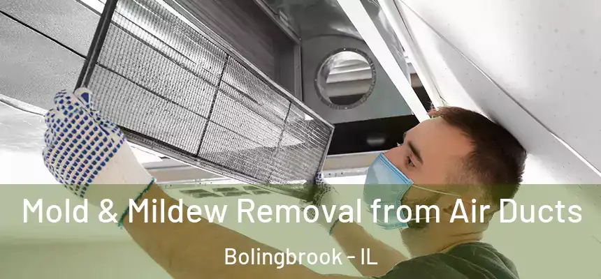  Mold & Mildew Removal from Air Ducts Bolingbrook - IL