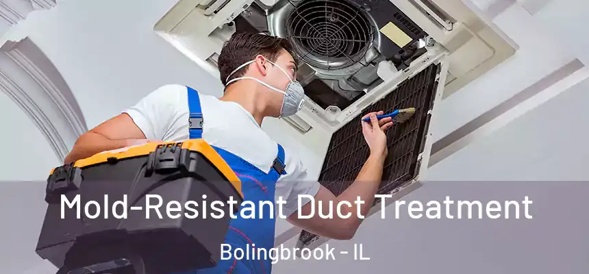  Mold-Resistant Duct Treatment Bolingbrook - IL
