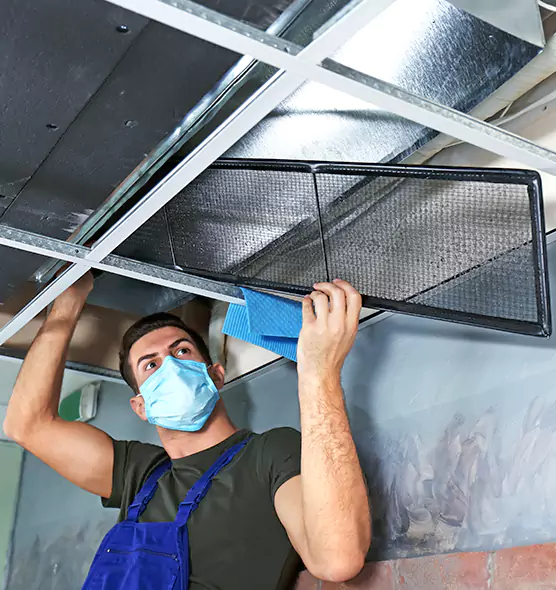 About Air Duct Bacteria Removal in Bolingbrook