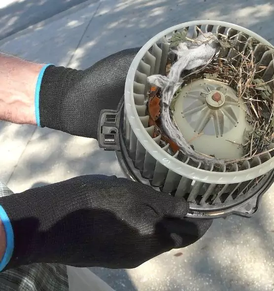 About Air Duct Mice Removal in Bolingbrook, IL