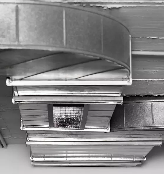 Professional Air Duct Pest Removal in Bolingbrook, IL