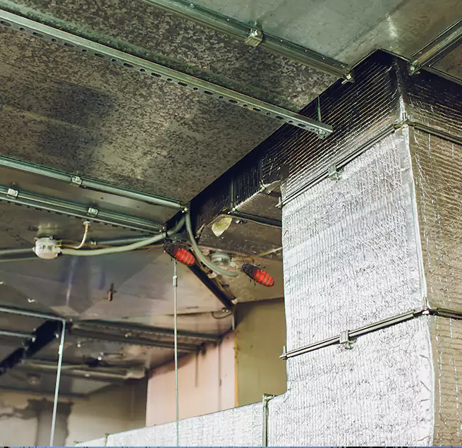 Why Homeowners & Businesses Trust Us in Bolingbrook, IL?