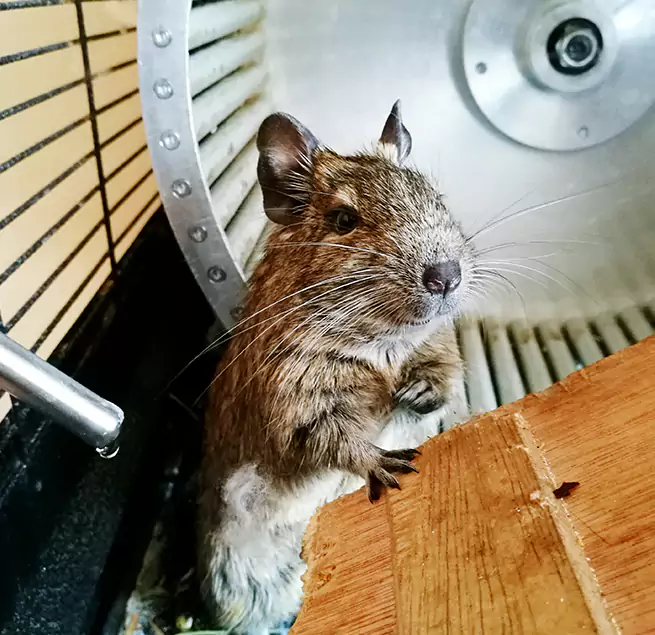 Why Homeowners & Businesses Trust Us Bolingbrook, IL